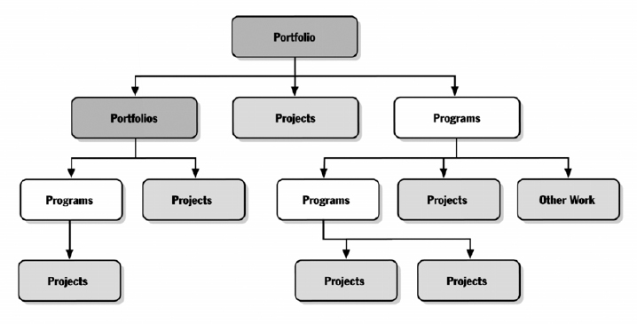 Program and Portfolio Relationships