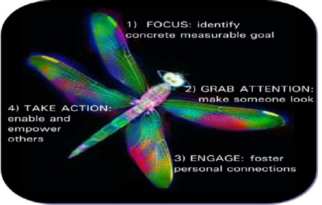 The Dragonfly Effect