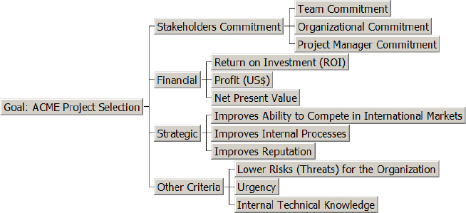 Hierarchy of Criteria for the Fictitious ACME Organization