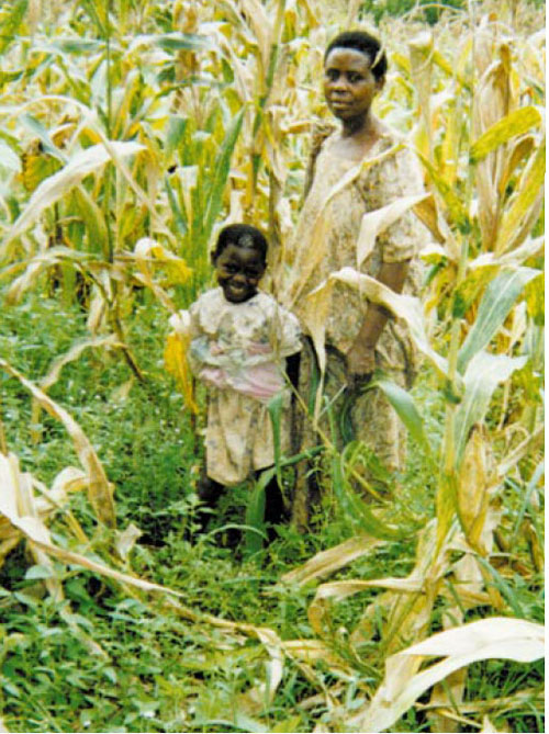 Supply-driven projects, such as introducing herbicides for weed control, have been common in community development. The new demand-driven, customer-focused project mindset now promoted by the World Bank will mean that development agencies must pay closer attention to the technical, social and environmental forces that will affect a project's sustainability after completion