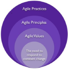 Agile Values, Principles, and Practices