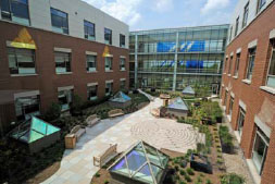 Rooftop Garden Green Space
