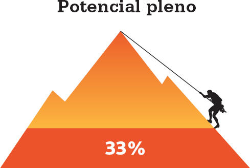 Porcentaje que informa que su PMO ha realizado plenamente su potencial para contribuir valor empresarial a la organización
