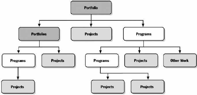 PMI/ESA Project Time Management Function