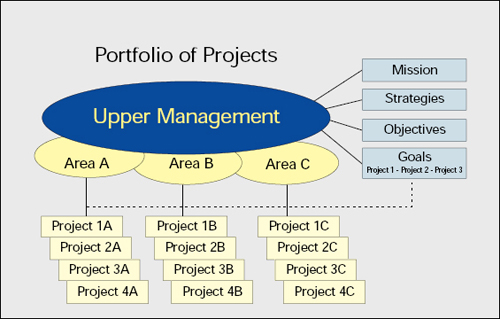 Organization Seen as a Portfolio of Projects