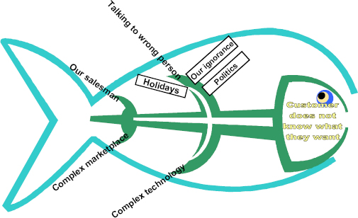 Fishbone Diagram for Sample Project to analyse why the customer may not know what they want