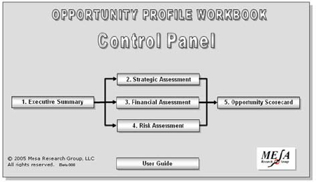 The Opportunity Profile Workbook