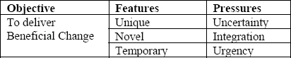 Projects’ features (Turner & Müller, 2003)