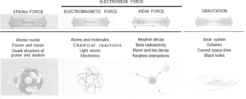 The Basic Forces of the Universe