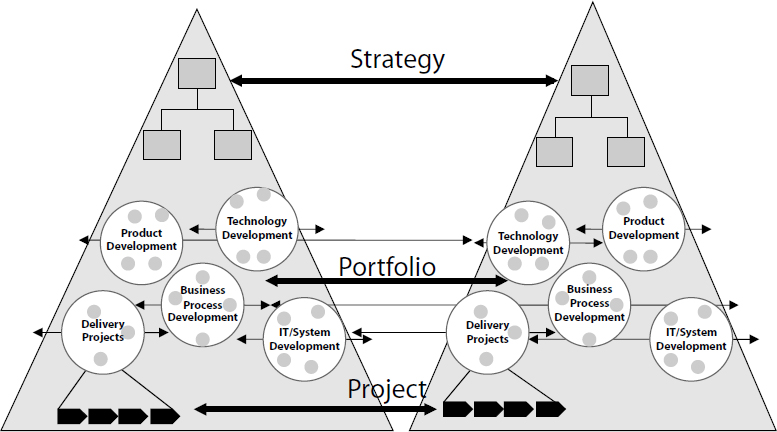 Two Companies with Networked Projects and Portfolios. There Are Cross-Organizational Processes in the Shared Network at Strategic, Portfolio, and Project Levels
