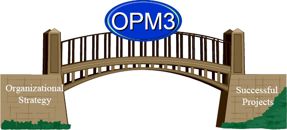OPM3® Bridges the Gap Between Organizational Strategy and Successful Projects (PMI, 2003, p. XIV)
