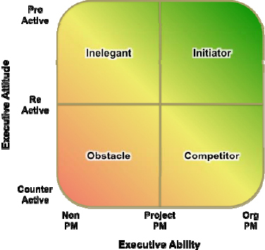 Executive Support for Projects Model