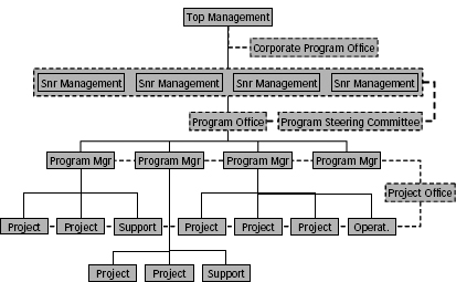 Market the project approach to executives