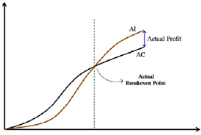 Actual profitability of the project