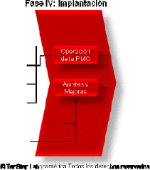 Fase IV - Implantación
