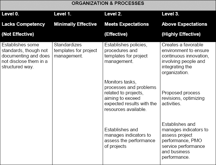 Project Management Competencies How to Define Assess and Plan