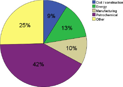 Industrial Sectors in Which Surveyed Projects Were Performed