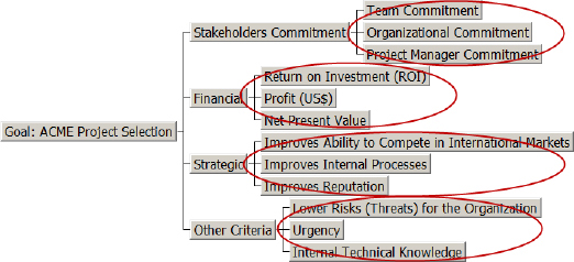 Hierarchy of Criteria for the Fictitious ACME Organization Highlighting the Second Hierarchy Level