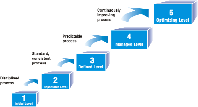 Maturity Levels as defined for HSE