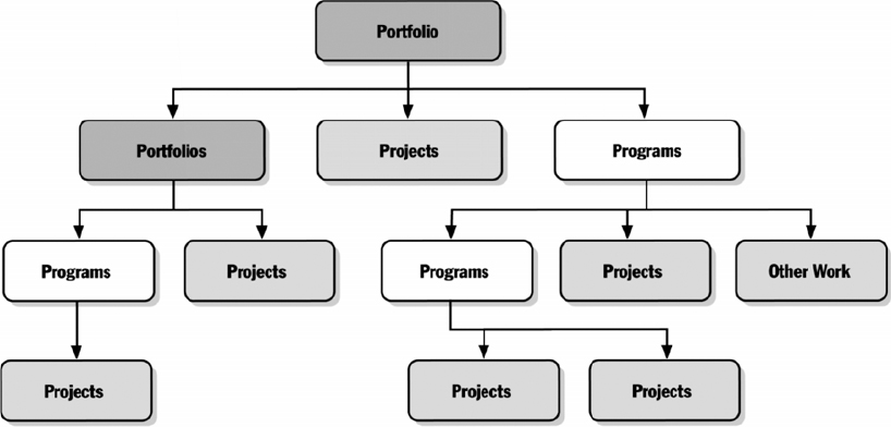 Program and Portfolio Relationships