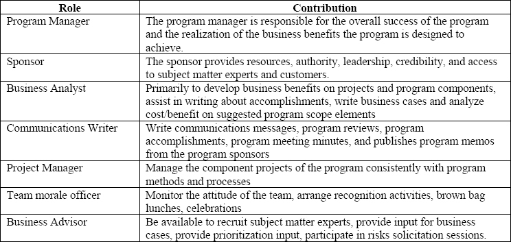 Applying program management to IT department chaos to improve business ...