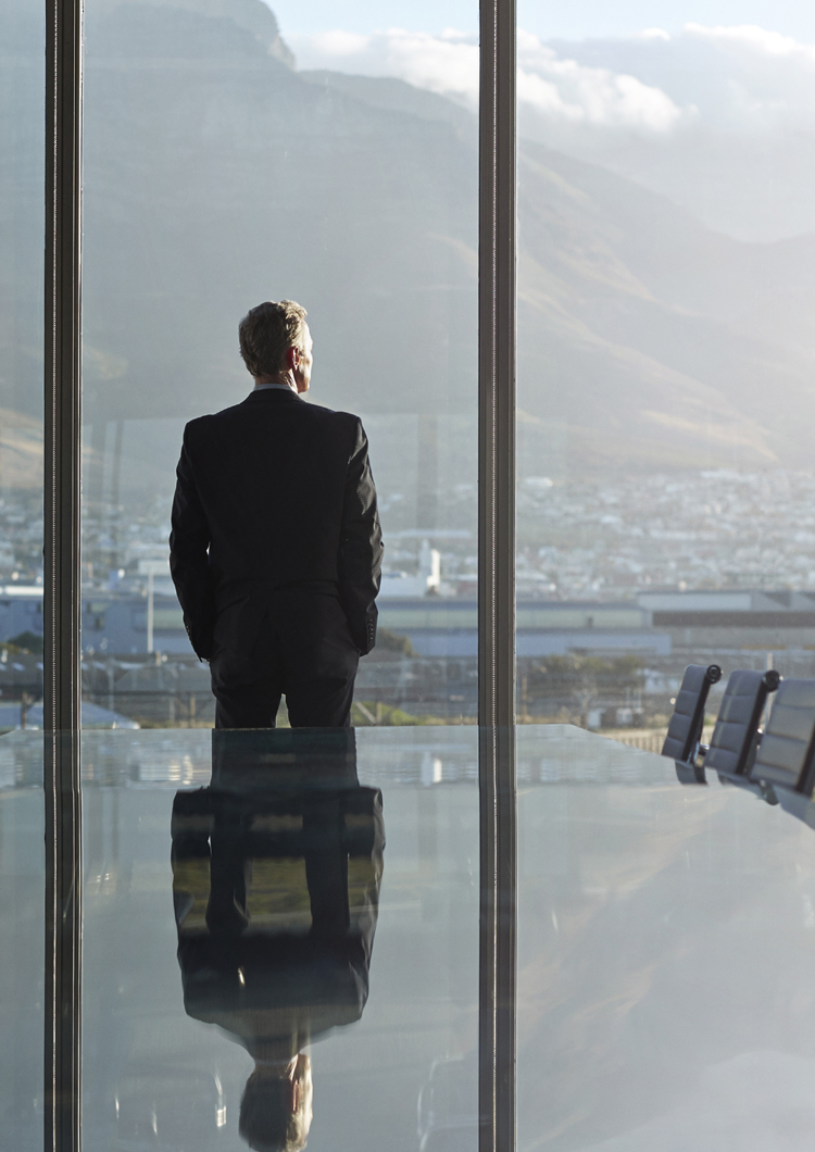 Training Manual for Managing Complexities and Ambiguities in Projects | PMI