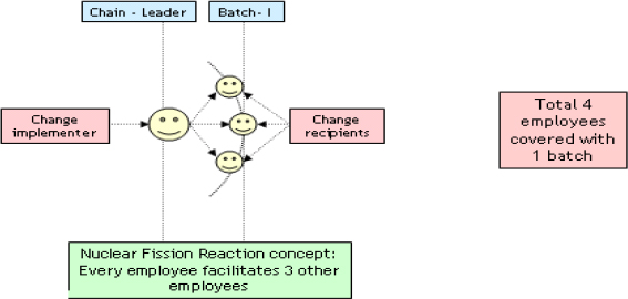 The Basic Chain Structure