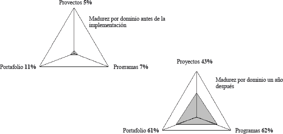 Madurez por dominio