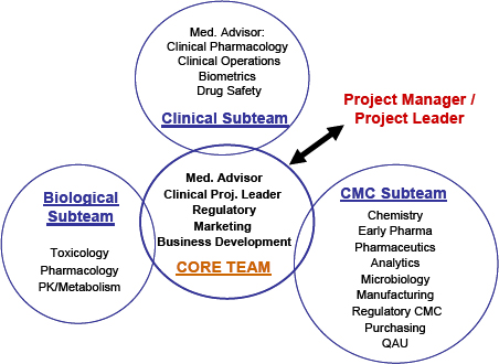 Project Management in Project Teams