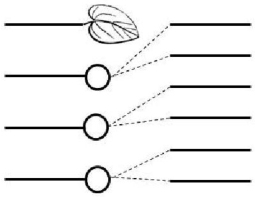 The descendants for the case where the probability of a leaf is 25%, and the branching ratio, <i>k=3</i>