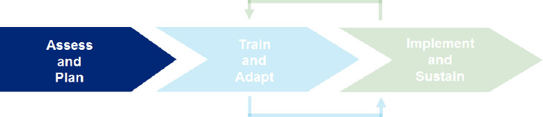 Assess and Plan Phase