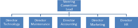 Example Steering Committee