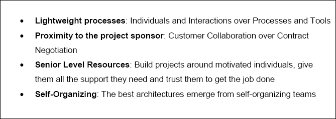 Elements of the Agile Manifesto Specifying Team Structure