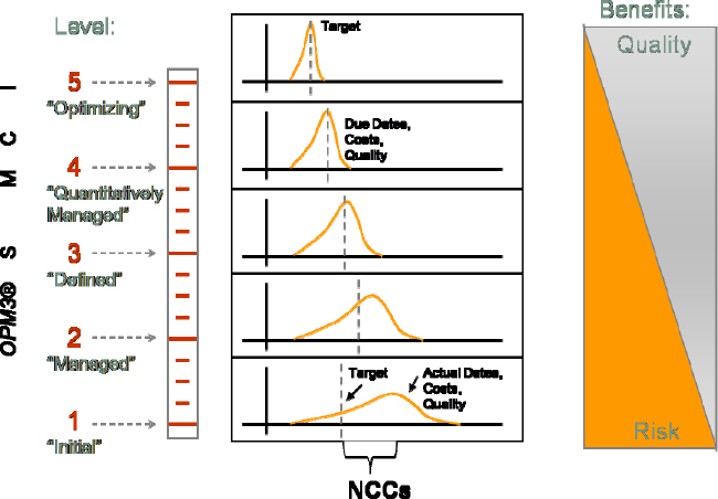 Non-Conformance Costs (NCCs) and Their Relationship with OPM Maturity