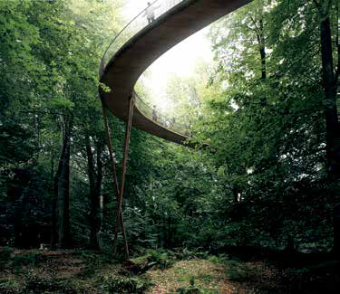 Sky's The Limit: European Forest's Winding Walkway | PMI