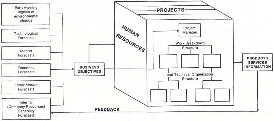 Managing human resources in project management