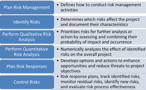Project risk management processes