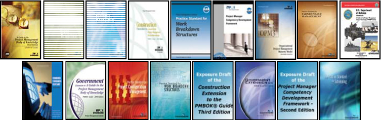 PMI Standards, the foundation upon which SPM is built