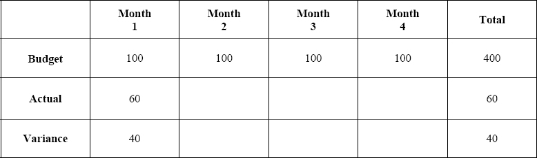Project Manager’s Chart Month 1