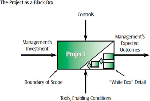 Executives view a project as a black box, but the project team has the white-box details