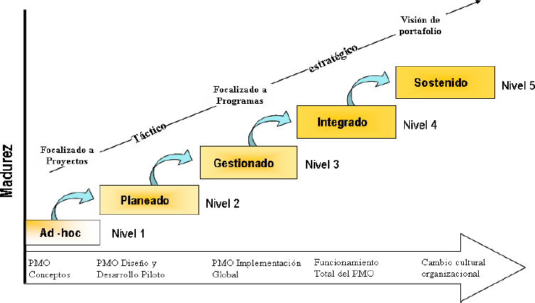 Niveles de madurez de una PMO