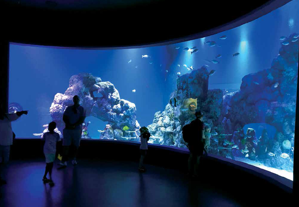 New Aquarium at Australia's Great Barrier Reef | PMI