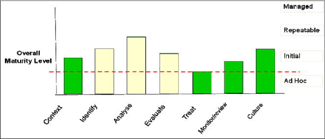 An example of a risk maturity model