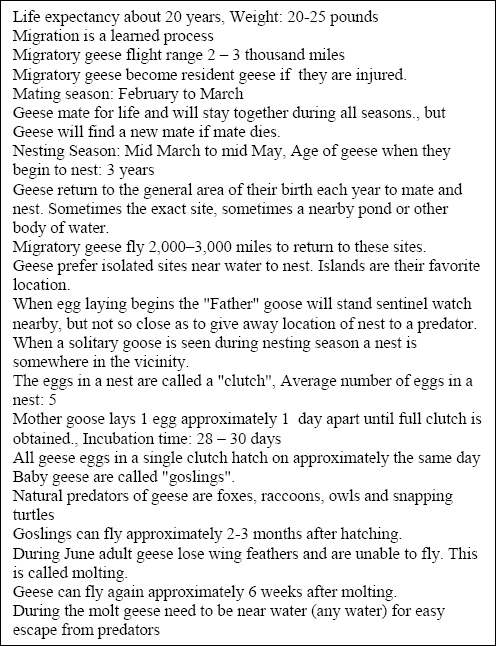 Facts About Geese