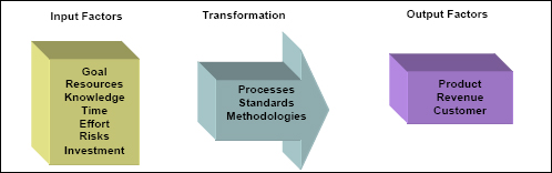 Input and Output Factors of Project Management
