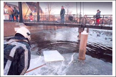 Ice Transplants