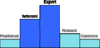 Project Leader Power