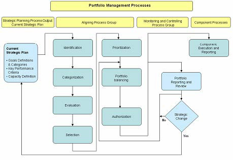 Building and managing a portfolio using PMI® standard for portfolio ...