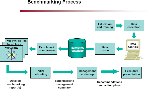 Benchmarking Process (QuantiMetrics, 2004)