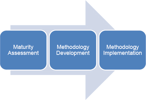 Project Management Methodology Implementation Process
